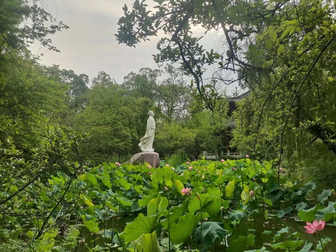 從李白故里出發(fā)，乘長風(fēng)、赴萬里！